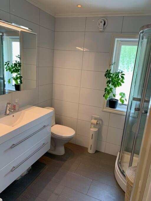 Flott Stort Hus I Stavern, Sjoutsikt Og Basseng Larvik Buitenkant foto